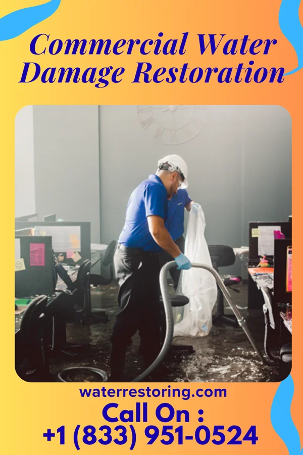 Commercial Water Damage Restoration in Lewis, IA
